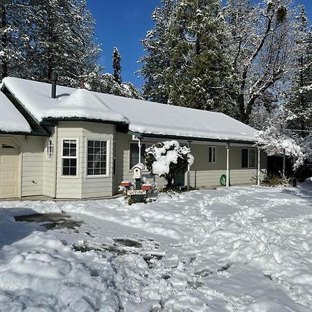 Acorn House - Charming House In Green Heaven With Pool Table With Lovely Backyard Окгерст Екстер'єр фото