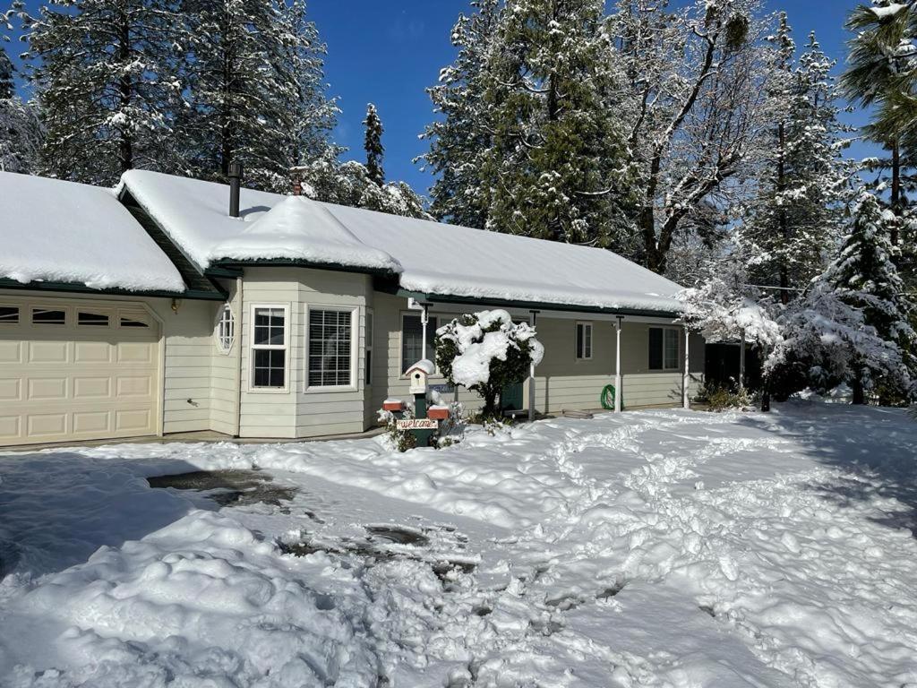 Acorn House - Charming House In Green Heaven With Pool Table With Lovely Backyard Окгерст Екстер'єр фото